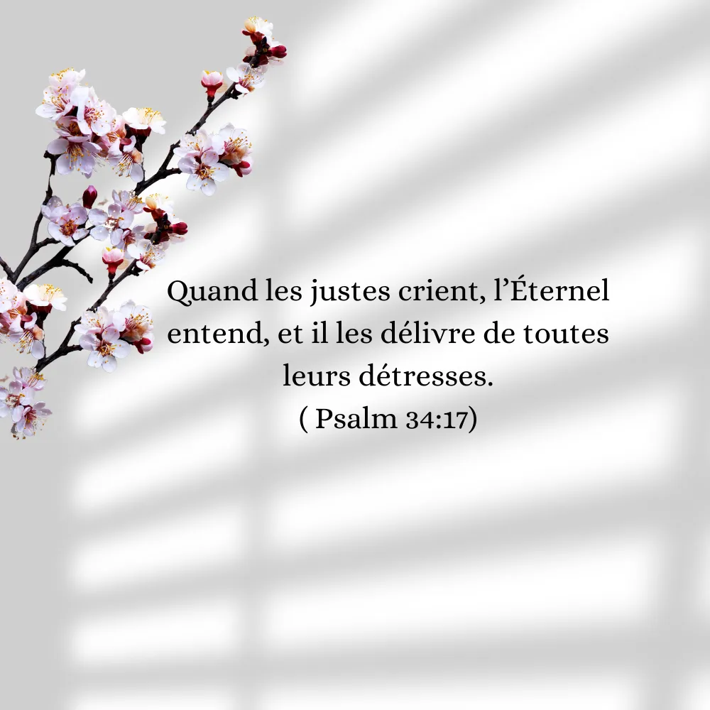 strong sentence.webp