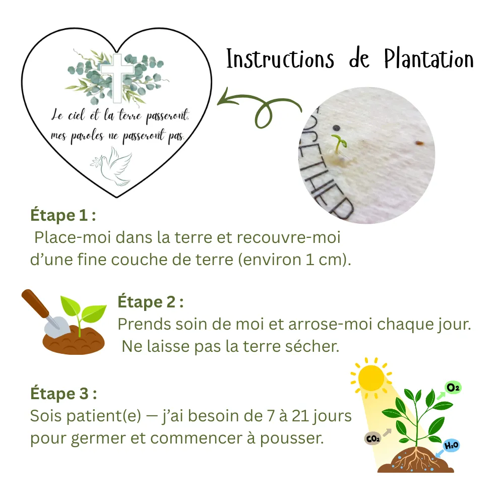 PLANTING TAG 1000.webp