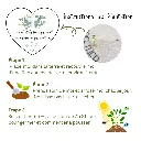 PLANTING TAG 1000.webp